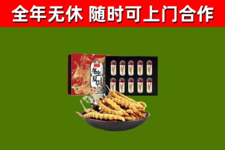 盂县回收冬虫夏草价格